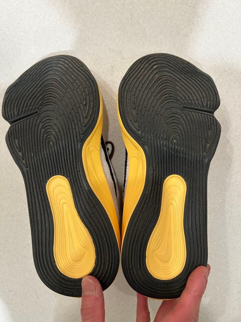 Nike GTハッスル3 27.5cm