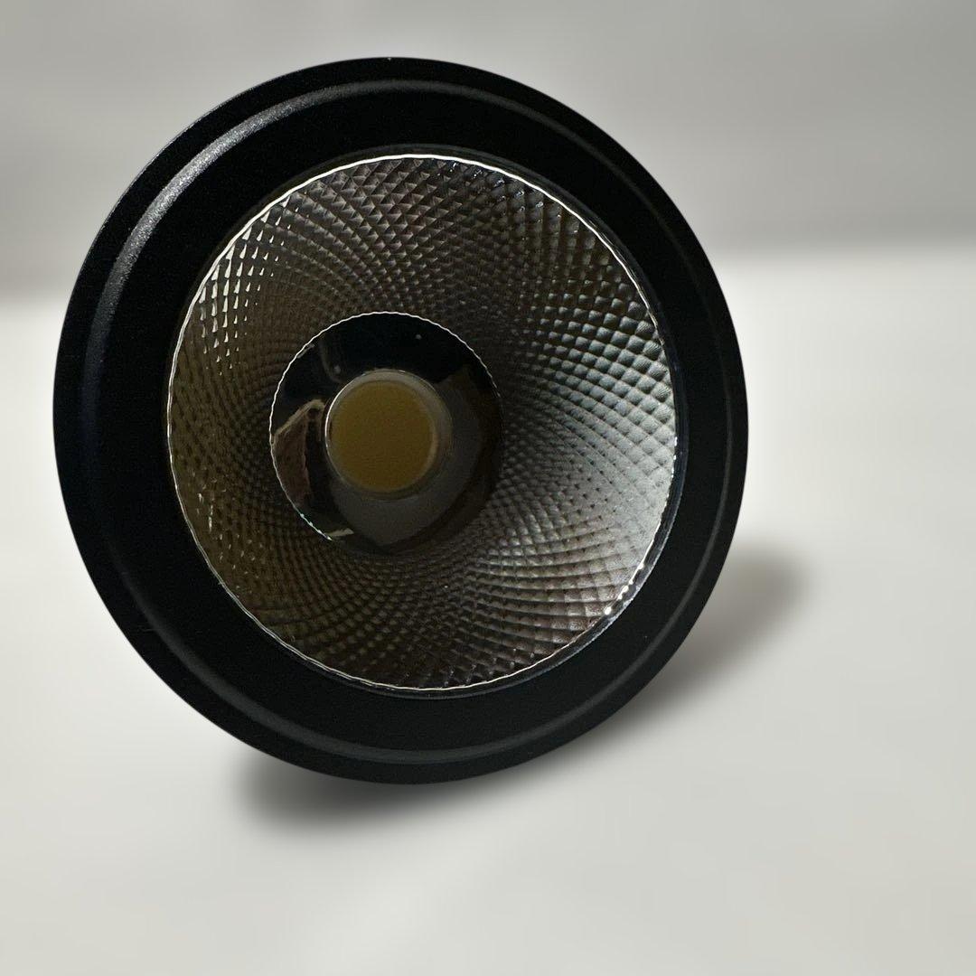 植物育成ライトAMATERAS LED 20Ｗ