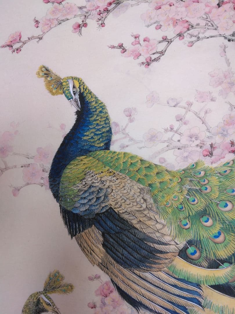 水墨画　孔雀