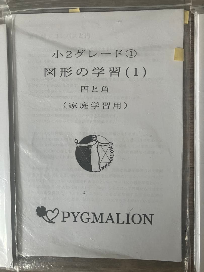 【美品・袋入】ピグマリオン グレード別10冊セット 図形の学習 分数 整数の性質