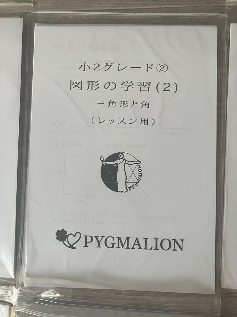 【美品・袋入】ピグマリオン グレード別10冊セット 図形の学習 分数 整数の性質