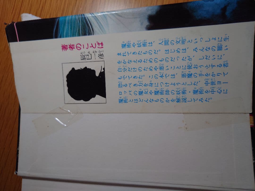魔術妖術大図鑑 ジャガー出版 530円