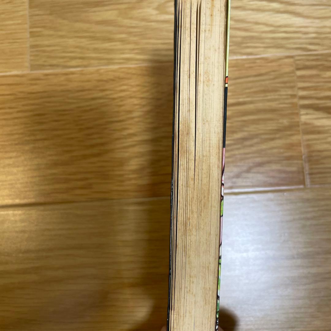 新チャコちゃんの日記　今村　洋子