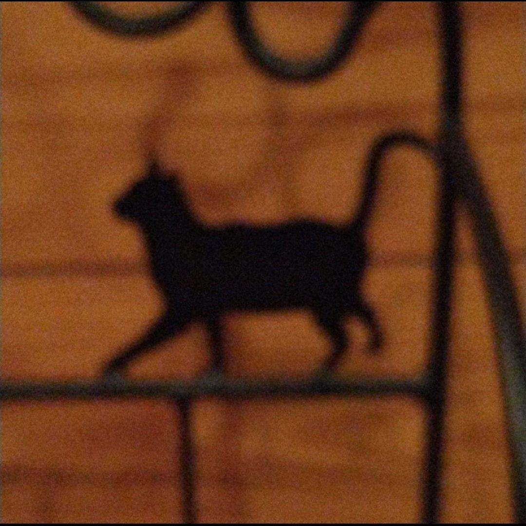 猫　ブックラック　マガジンラック　ブラックキャッツ　黒ネコ　　レトロ　ねこ