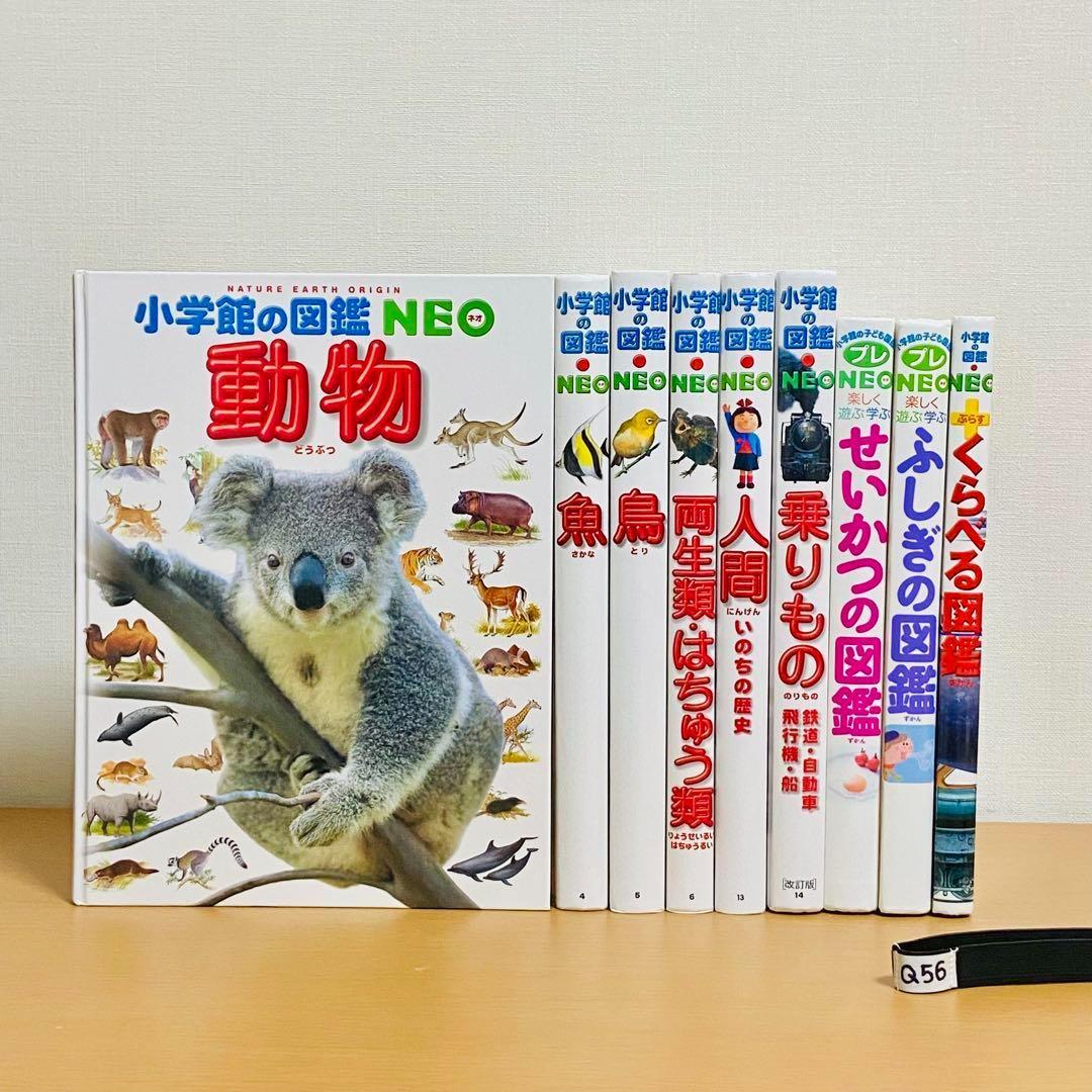 Q56【9冊】小学館の図鑑NEO 動物　鳥　魚　プレ　絵本 セット まとめ売り