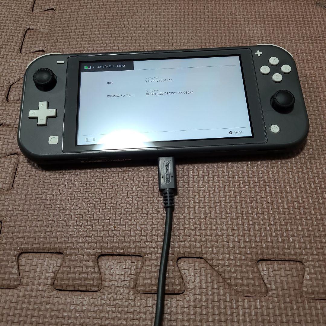 Nintendo Switch Lite グレー7416