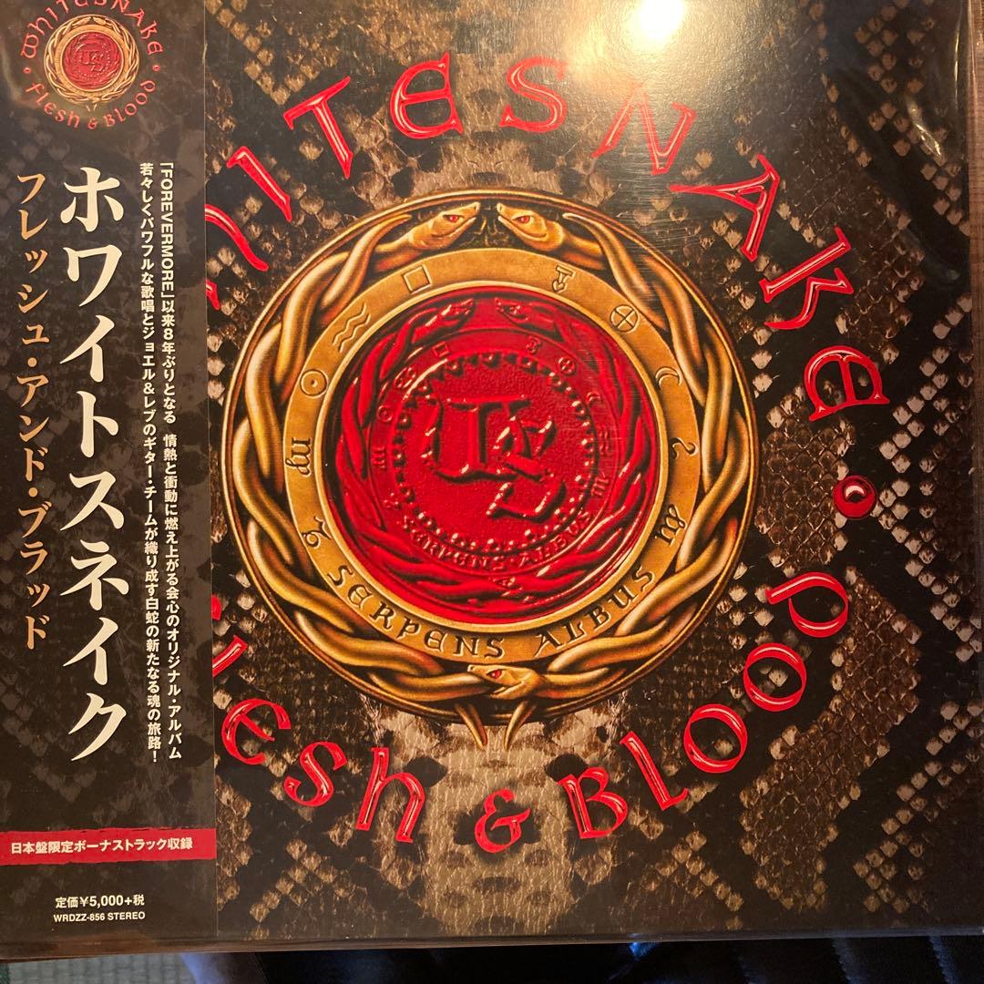Whitesnake 2枚セット　洋楽レコード