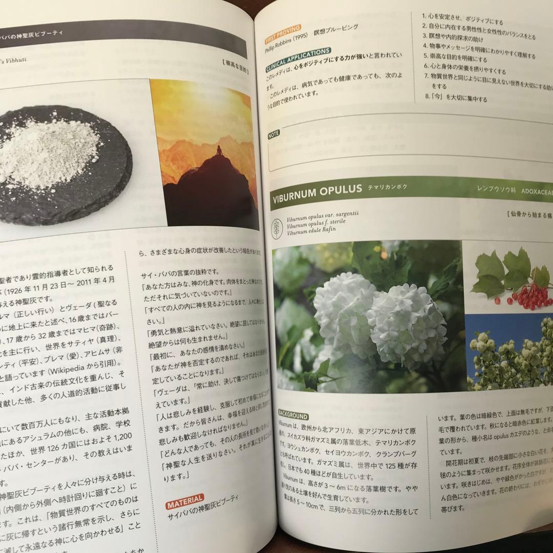 新 臨床家のためのホメオパシー　マテリアメディカ 下
