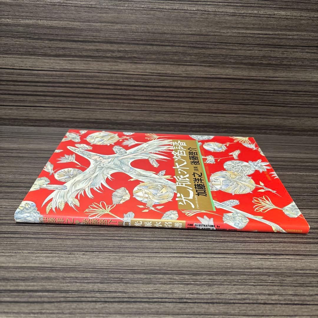光脈水焔譜: 加藤洋之・後藤啓介画集
