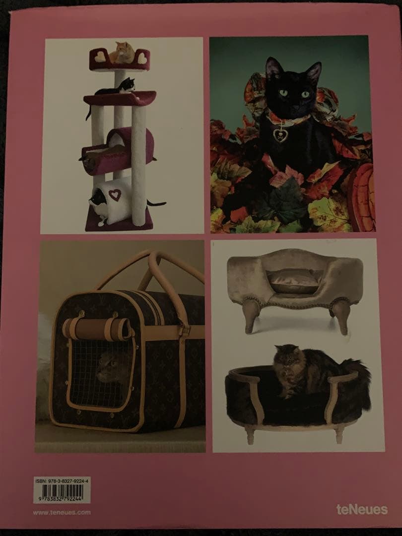 洋書 Luxury for Cats teNeues