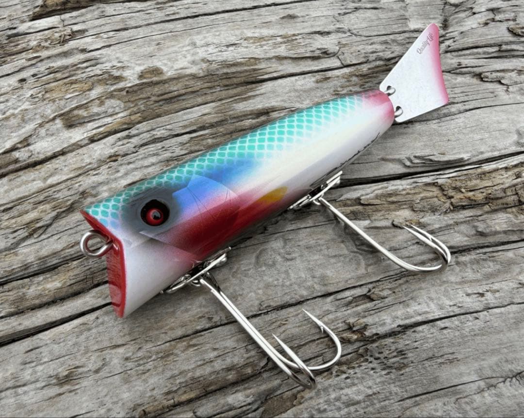 クオリティライフ　Fish Colca/フィッシュ コルカ　キタノアカヒレタビラ