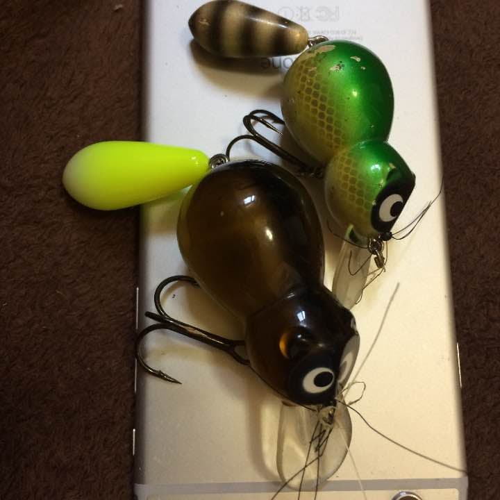 アライくん