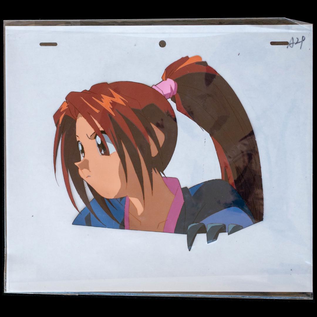 Ninja者 LD2枚 関連CD 直筆サイン色紙 セル画 生写真 チラシ セット