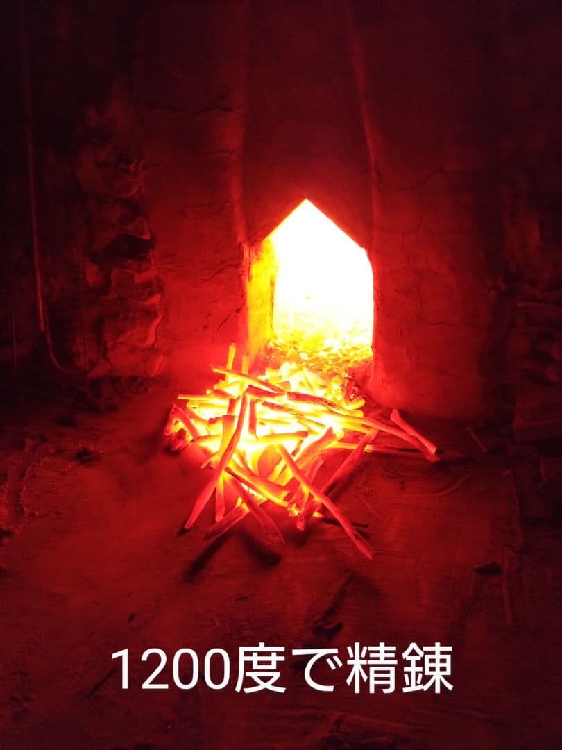 たろきち 荒１５キロ