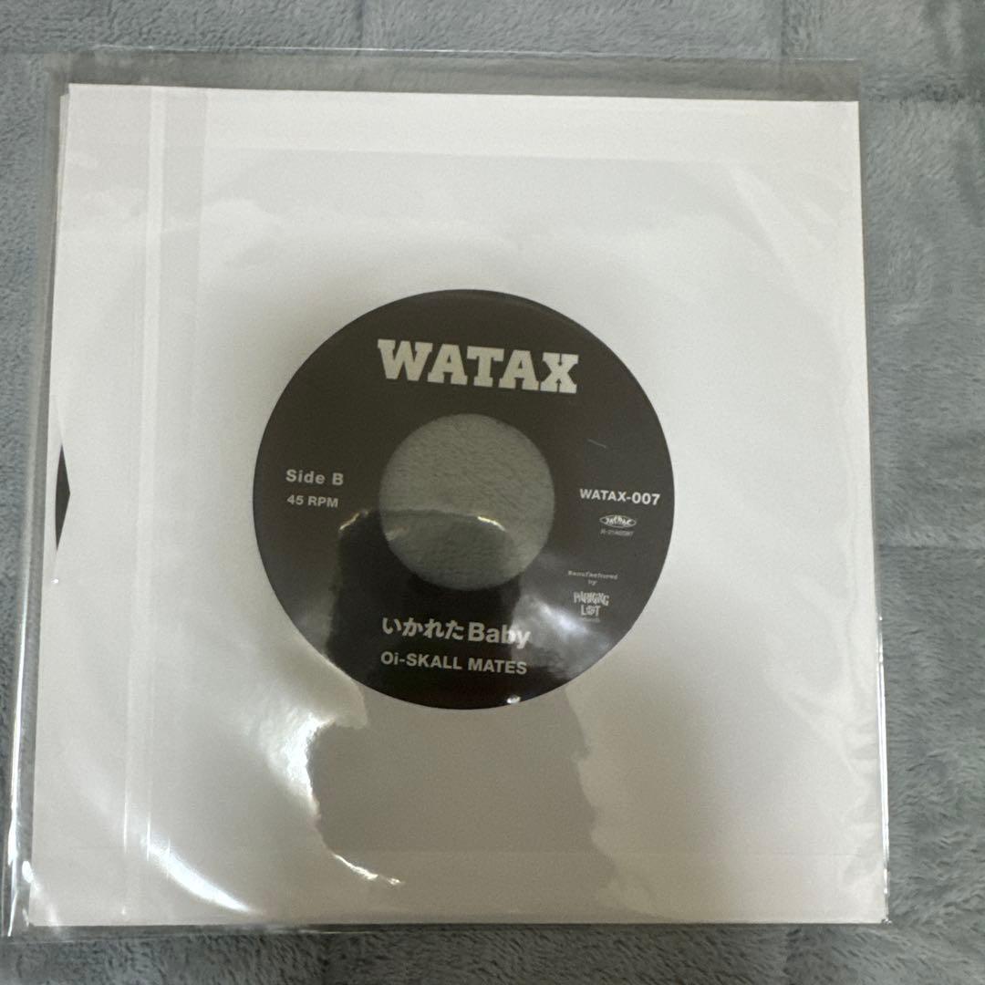 WATAX 踊ろよBaby.いかれたBaby