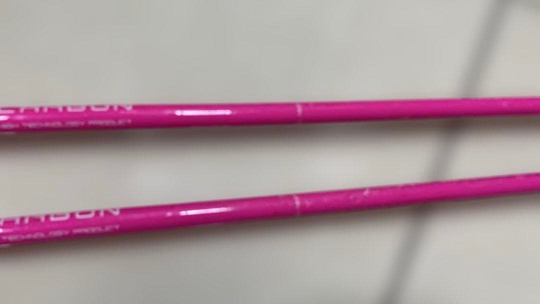 LEKI 2019-20 VENOM SL パンチガード付 カーボン 110cm