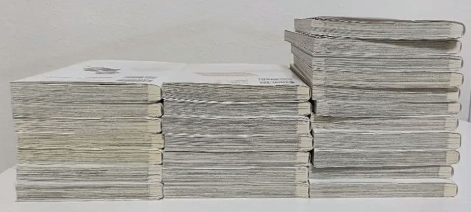 文豪ストレイドッグス　全巻　1〜25巻