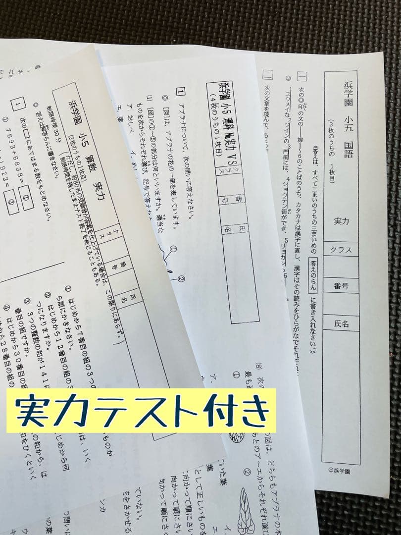 4科目 2年分 浜学園 公開学力テスト 小5 2023年、2024年度