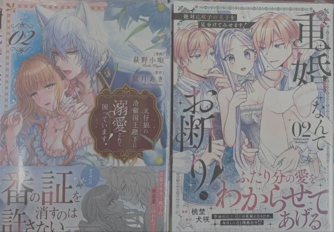 元仔狼の冷徹国王陛下に溺愛されて困っています！（2） ほか