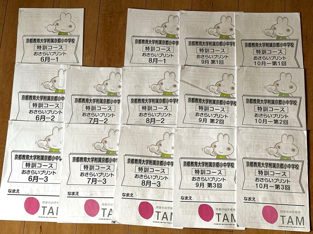 Rieさま専用　京都教育大学附属京都小中学校 入試問題集&TAMおさらいプリント