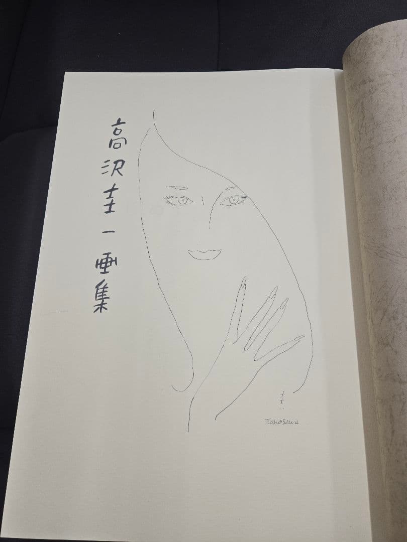 高沢圭一画集