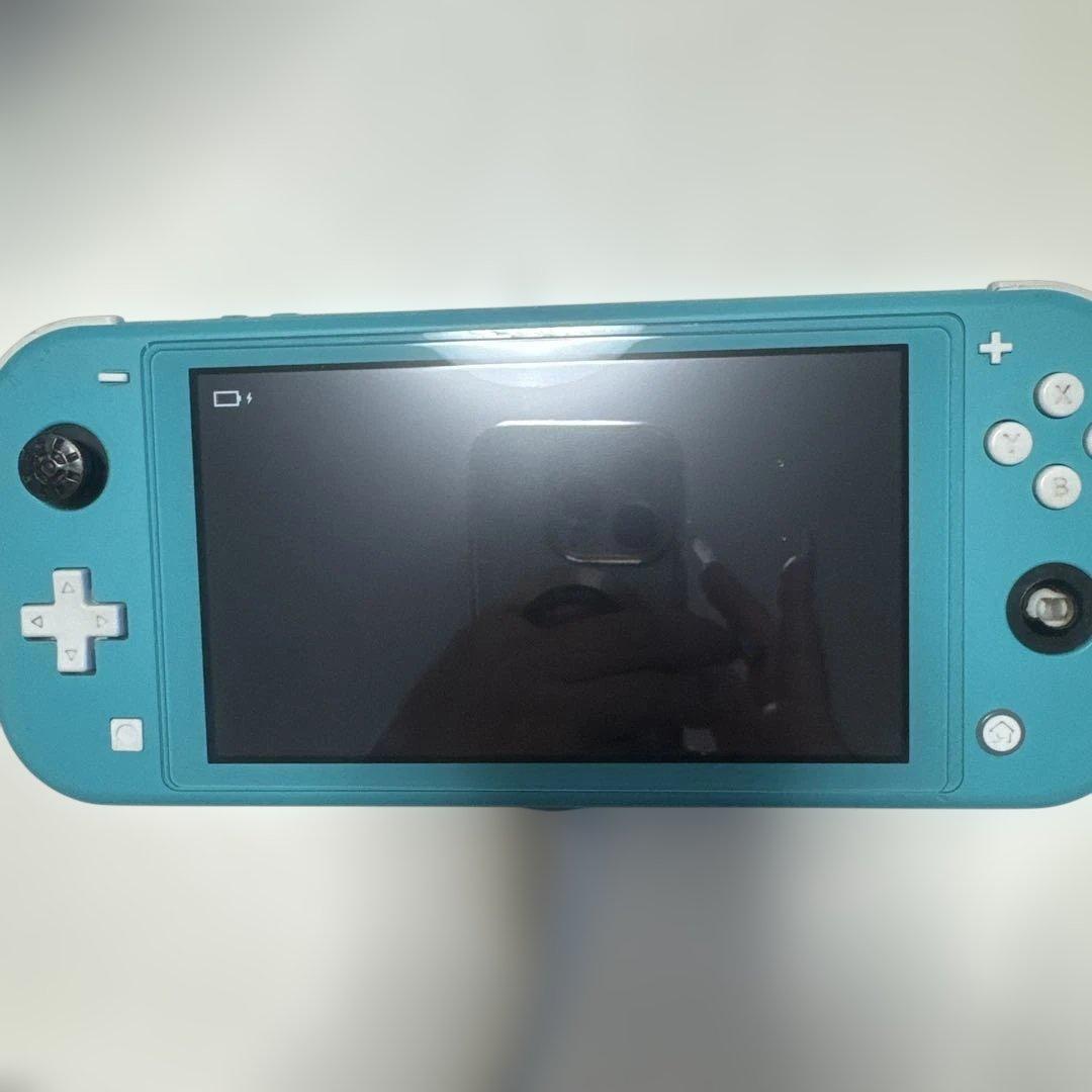 Switch light ジャンク
