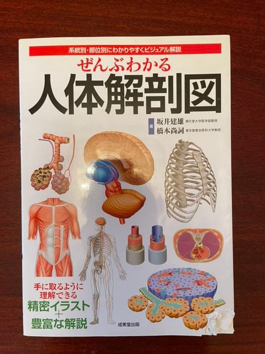バラ売❌♪書込あり♪系統看護学講座 & 看護教本etc. さわ研講師の解剖ノート