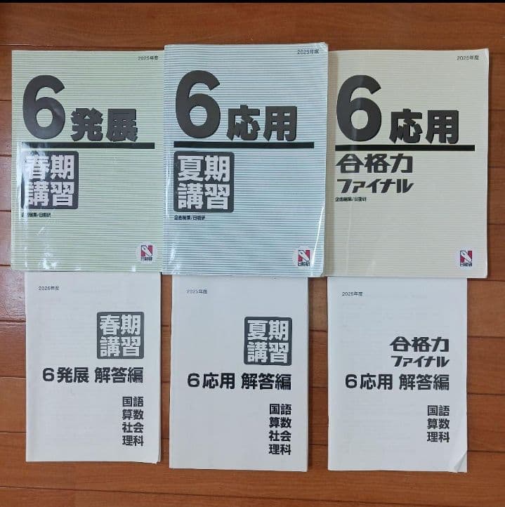 ①【２個口発送】日能研　６年生　全国公開模試　育成　実践テスト　各種テキスト他