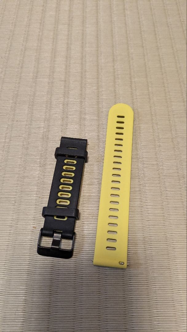 ラウンド用品・アクセサリー GARMIN APPROACH S40 approach CT10