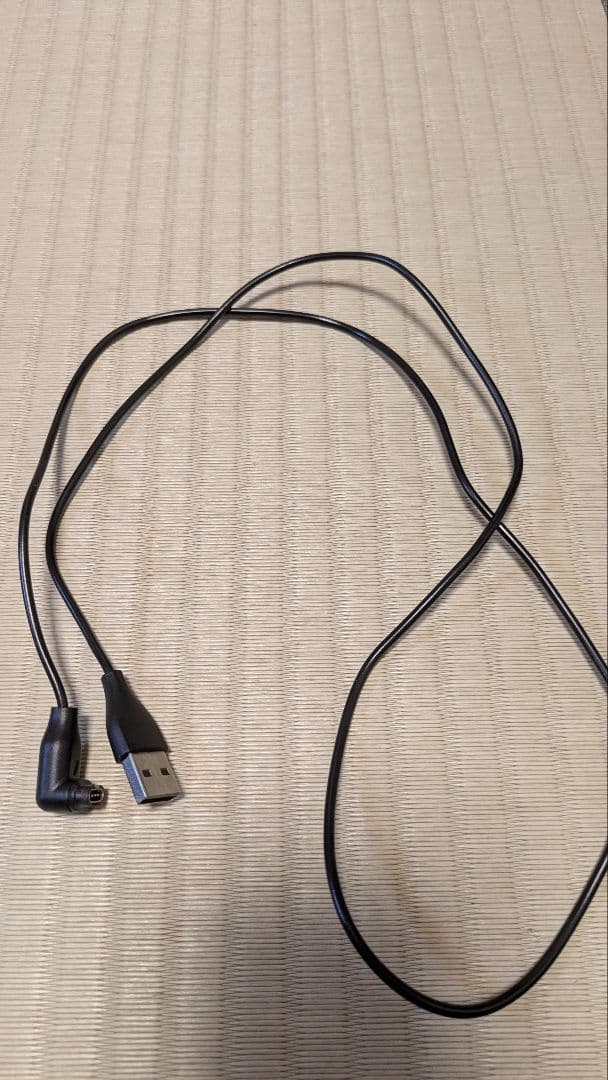 ラウンド用品・アクセサリー GARMIN APPROACH S40 approach CT10