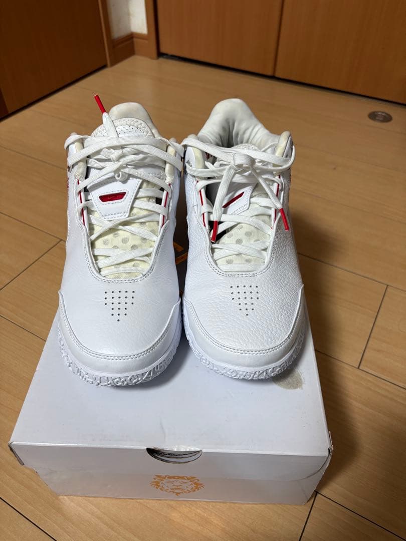 ナイキ NIKE ズーム レブロン NXXT GEN AM PD EP