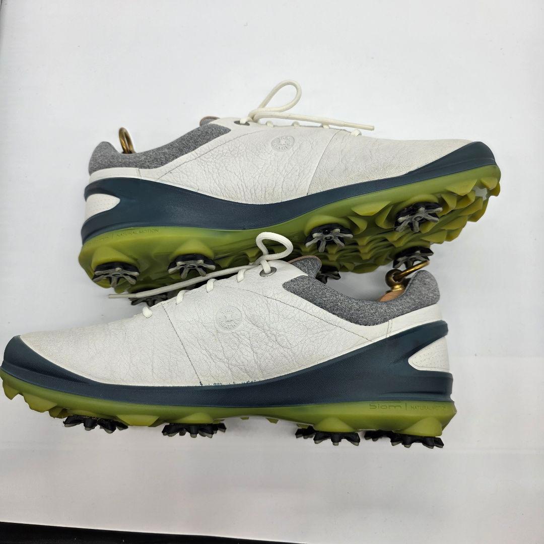 ecco BIOM G3 エコー ゴアテックス ゴルフシューズ 本革 40