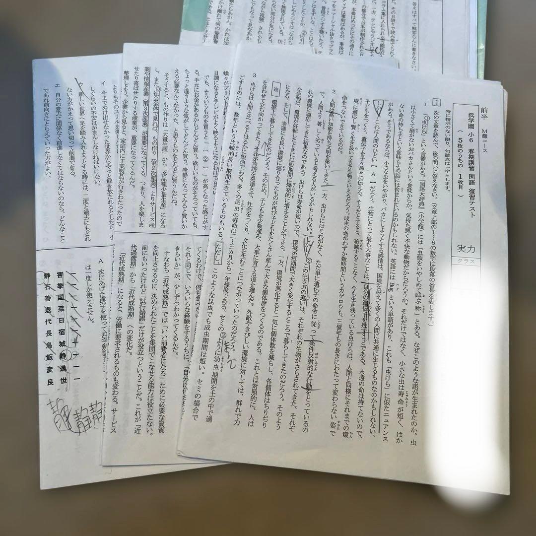 2025年最新版小6浜学園春期講習国語テキスト一式M灘男子最難関コース