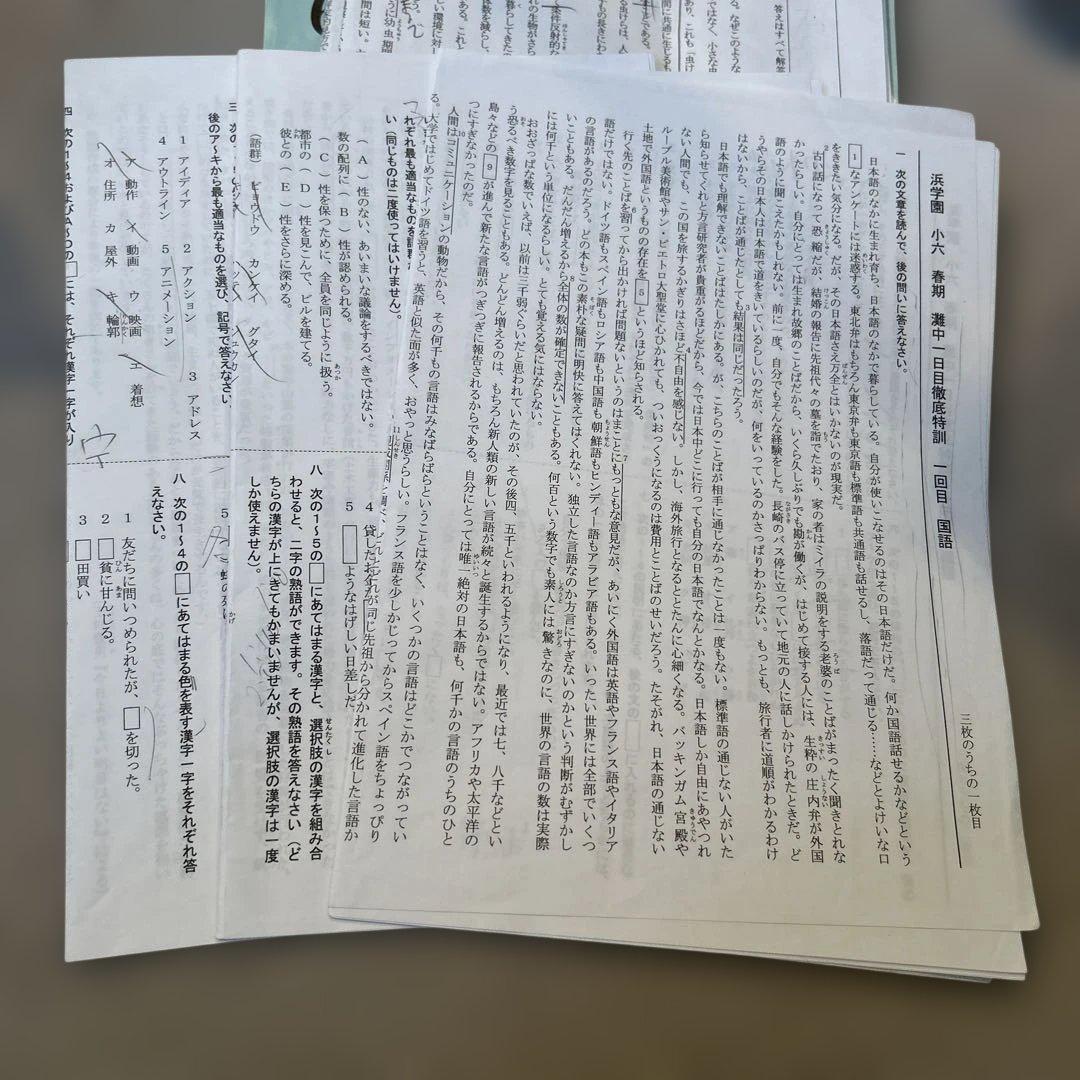 2025年最新版小6浜学園春期講習国語テキスト一式M灘男子最難関コース