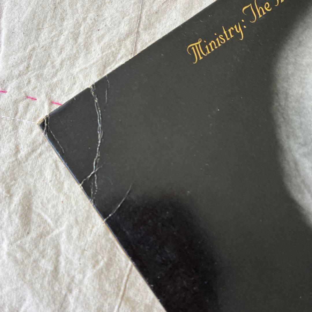洋楽 Ministry The Mind Is A Terrible Thing To