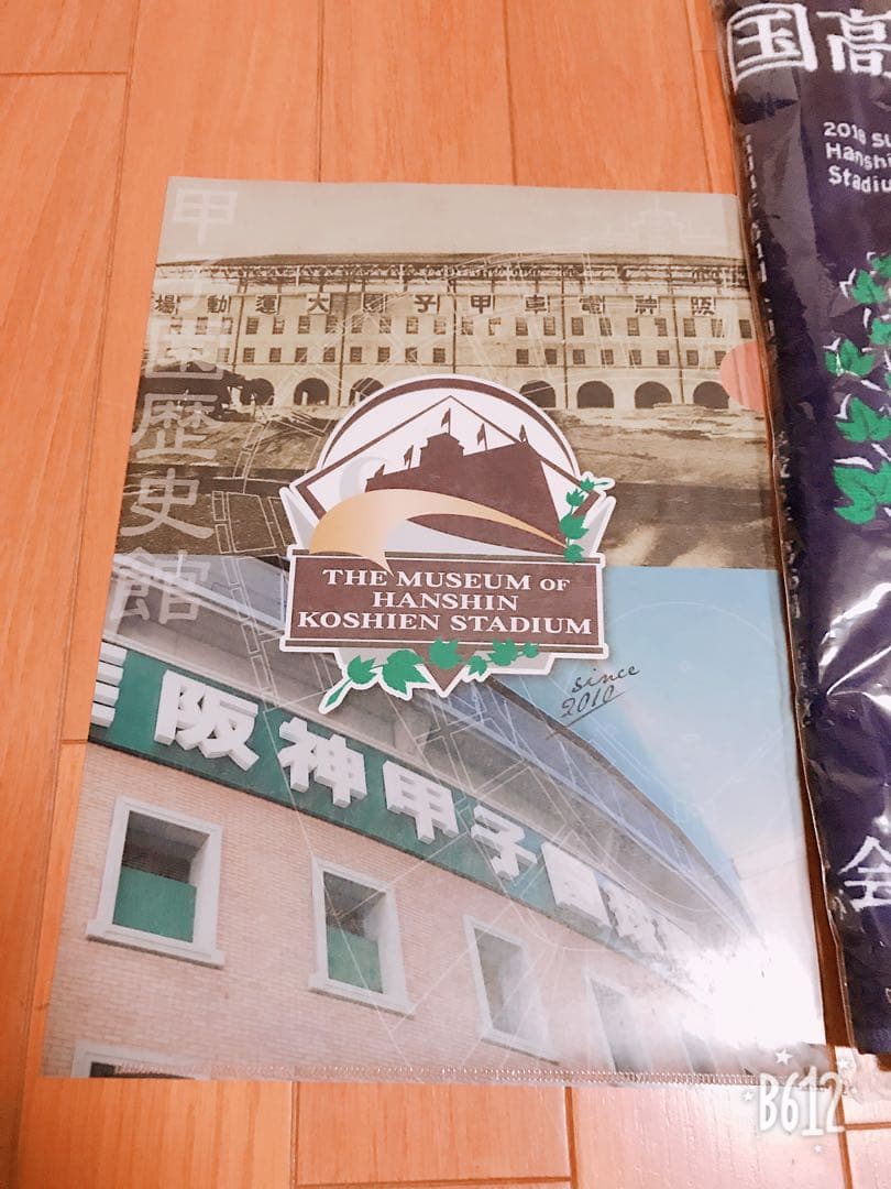 甲子園100回記念大会限定タオルとファイルです！