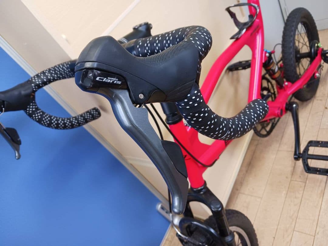Eizer Mini Beast カスタム車両