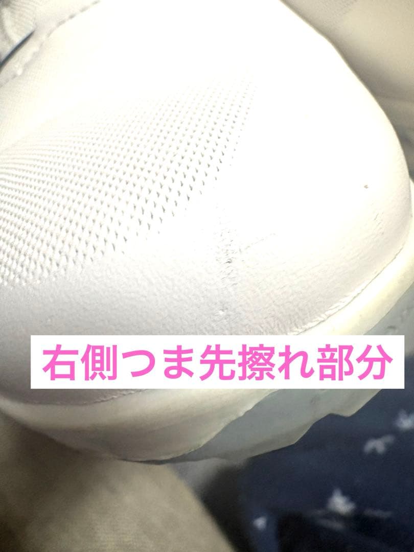 ecco BOAシステム搭載 ゴルフシューズ　BIOM C4 ゴアテックス仕様