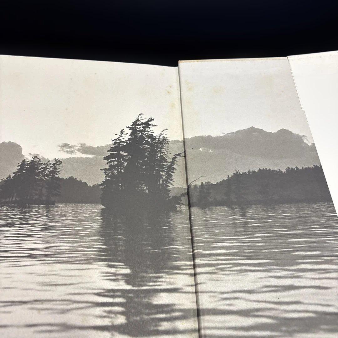 アート・デザイン・音楽 BEAR POND Bruce Weber