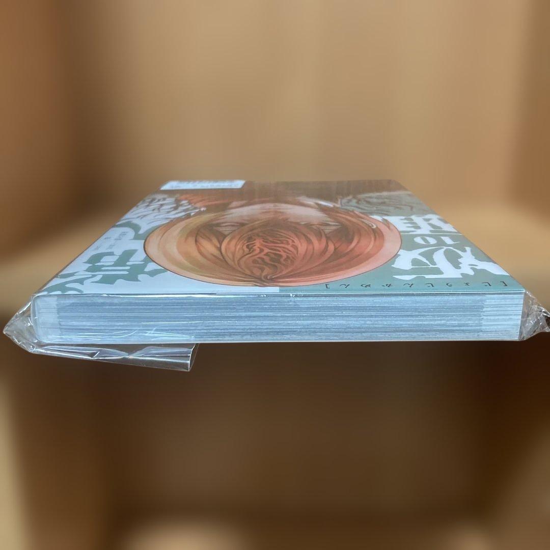 常人仮面　10巻　未開封
