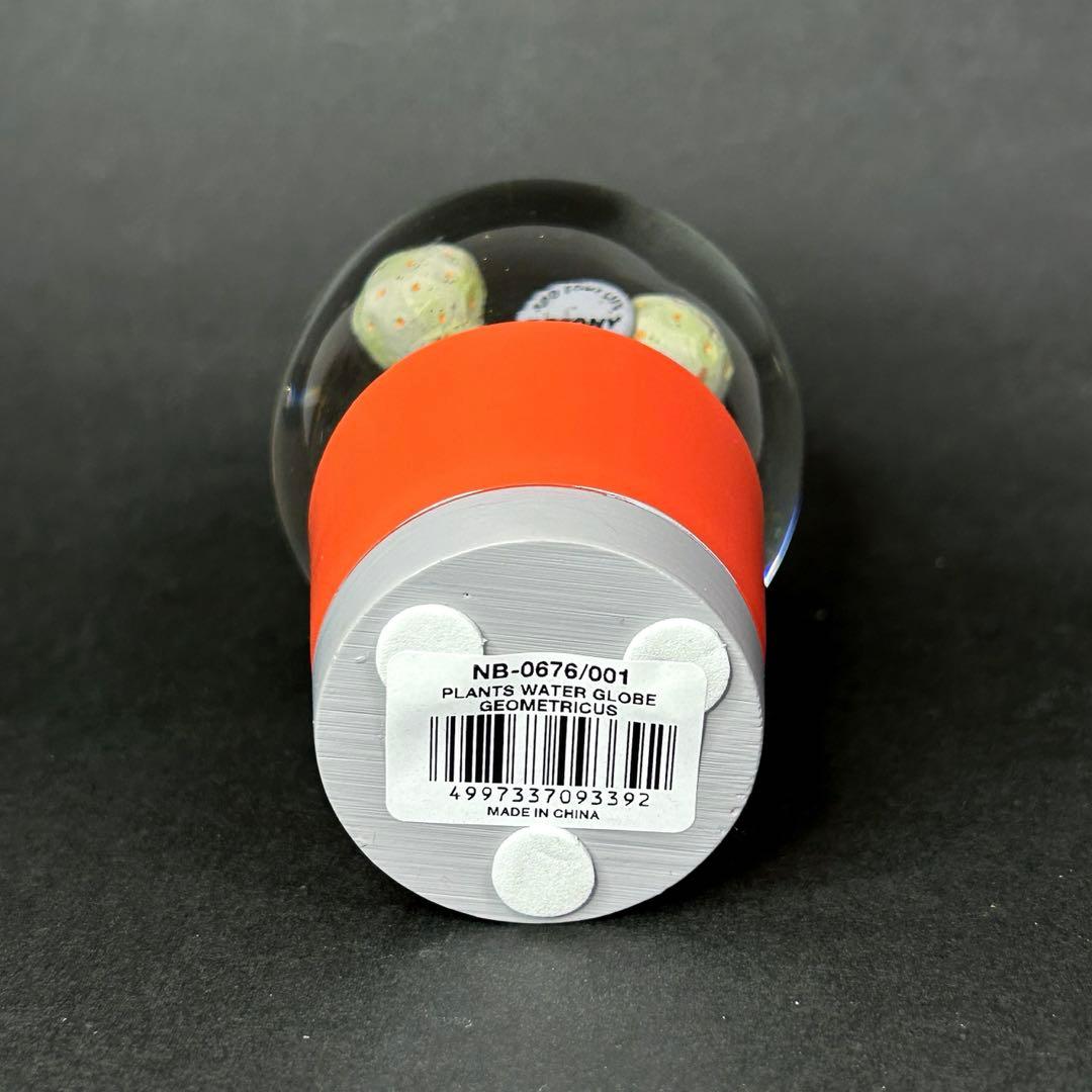 DULTON スノードーム　PLANTS WATER GLOBE 3点セット