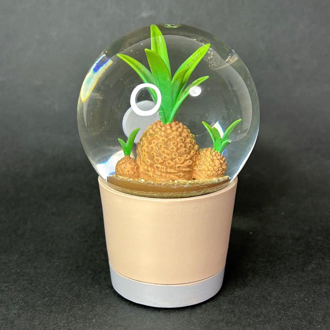 DULTON スノードーム　PLANTS WATER GLOBE 3点セット