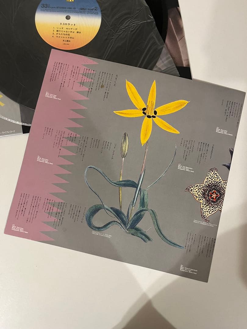 井上陽水 9.5カラット レコード