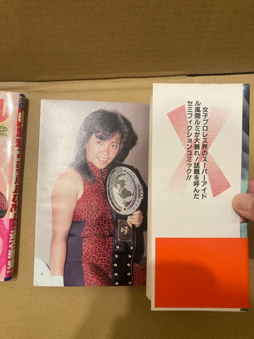 蹴撃エンジェル RUMI 近石雅史 全巻セット 全2巻セット 風間ルミ