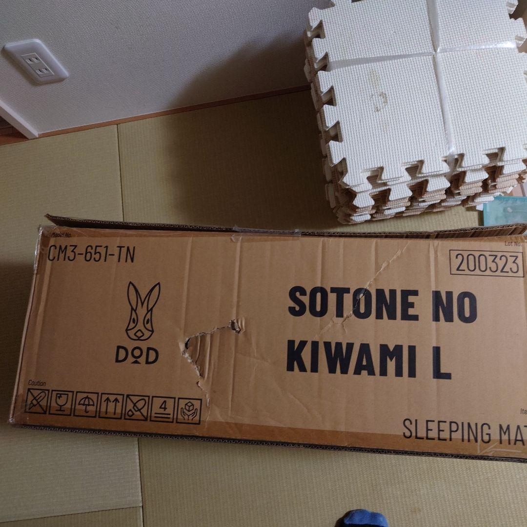 DOD SOTONE NO KIWAMI L スリーピングマット