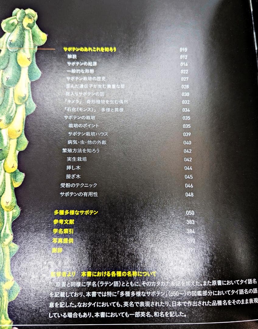 【絶版・帯付】 サボテン全書 All about CACTUS