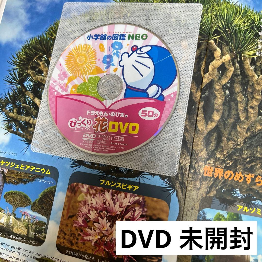 【本日まで❗️】小学館 図鑑 NEO 14冊セット DVD未開封・下敷やマップ付有