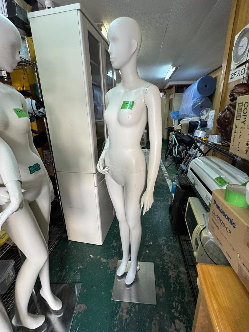 (3979W1)*株式会社パールマネキン レディースマネキン全身