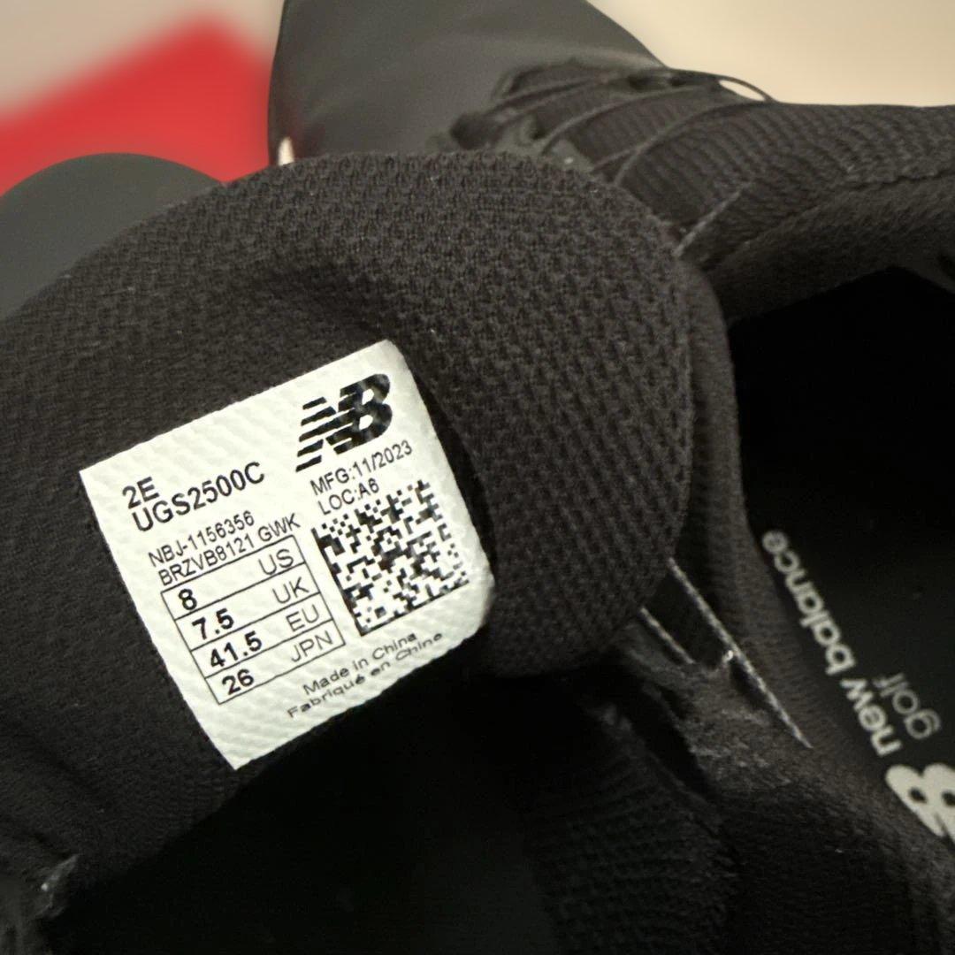 ニューバランス Fresh Foam X 2500 v4 BOA® 26cm