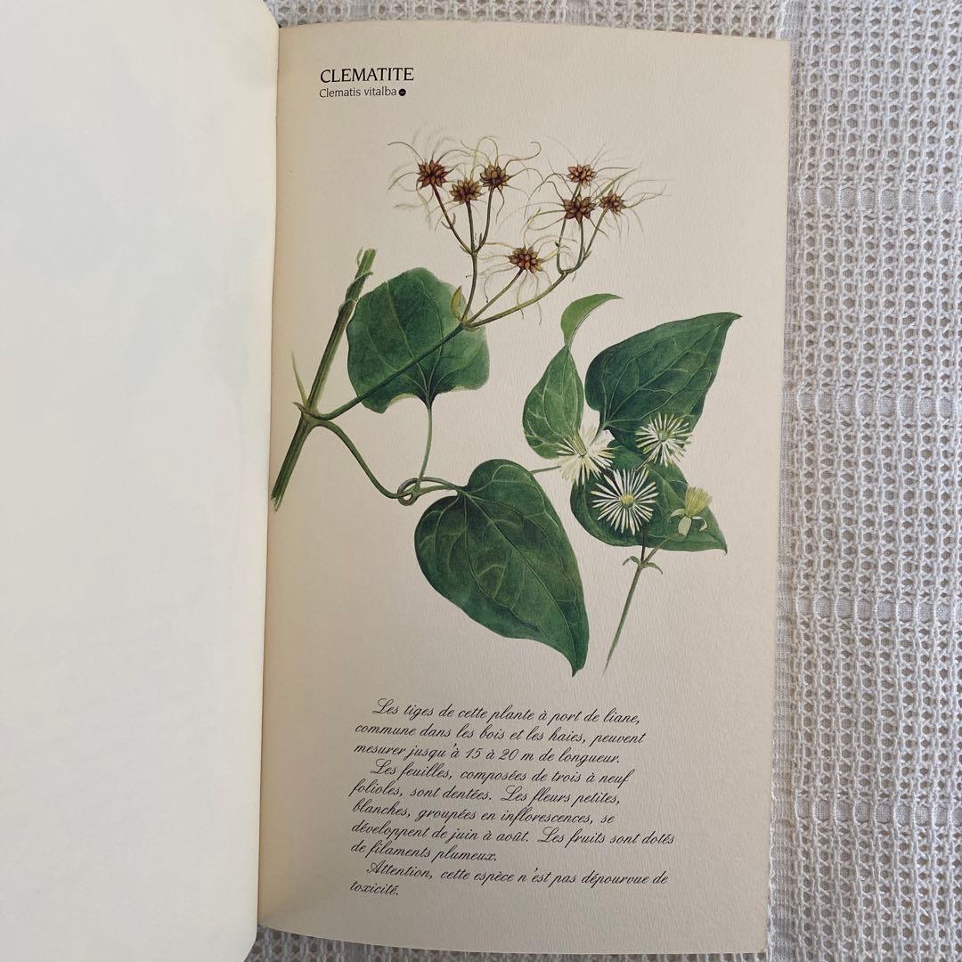 【希少】美品 フランス植物図鑑　洋書　古書